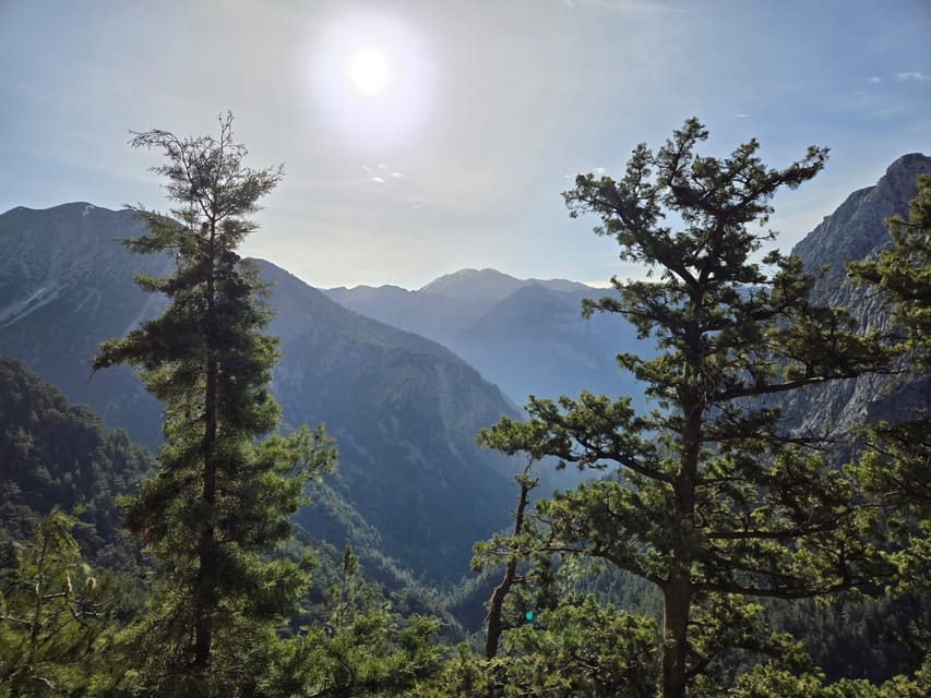 Agia Marina: Discover Samaria, the longest gorge in Europe! - Key things I’d watch for