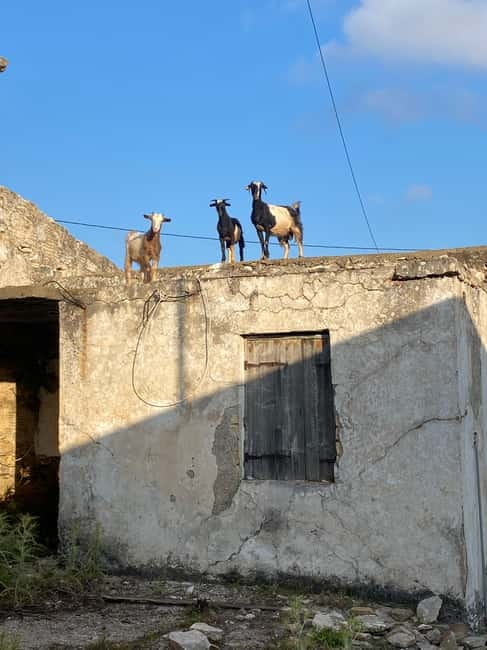 Agia Pelagia: Sunset or Morning Quad Tour & Ghost Town Visit - Price and value: why the $99 per group makes sense