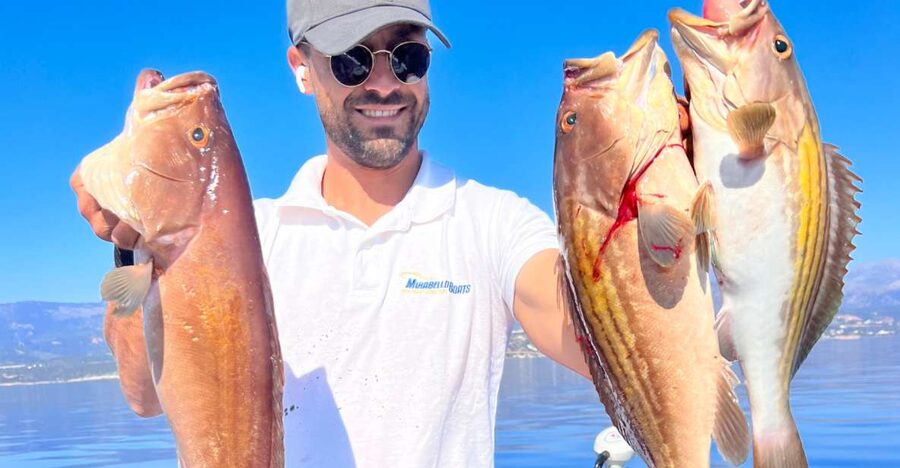 Agios Nikolaos: Mirabello Bay Fishing Trip - What’s included on board, and why it changes the value math