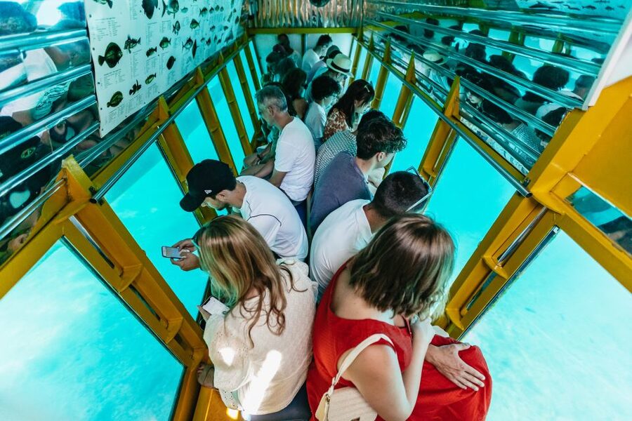Agios Nikolaos: Semi-Submarine Cruise - The underwater segment: fish windows, crew feeding, and the audio guide