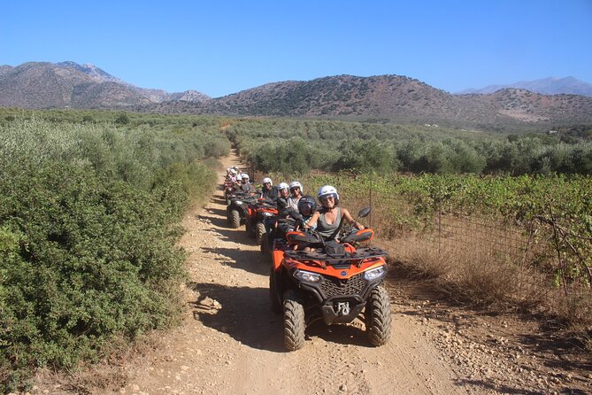 Bali Rethymno Panormo half day quad safari adventure - Cross-Country Quad Tracks: Olive Groves, Vineyards, and Big Mountain Views