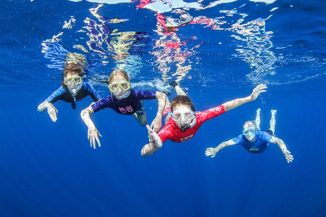 Boat Trip in Crete with Guided Snorkeling and Free Pick up! - Key things to know before you go