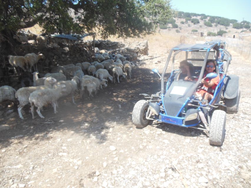 Buggy safari Crete (Transfer and lunch) analipsi- hersonisos - Vrahasi area museum stop and a glimpse of how locals lived