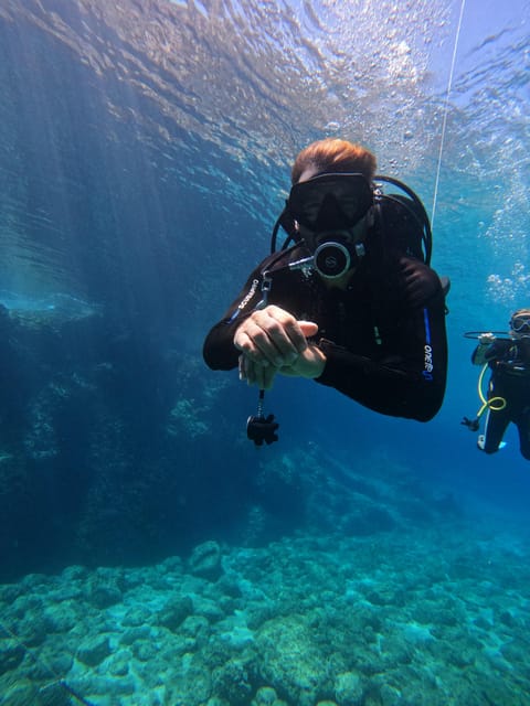 Chania: 2 Boat Dives for Certified Divers - Key things I think are worth your attention
