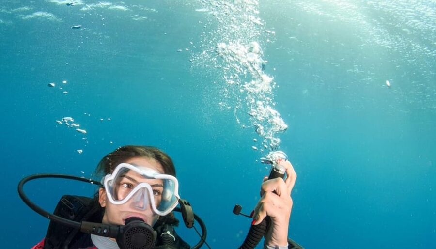 Chania: 2 Boat Dives for Certified Divers - Elephant Cave plus WWI wreck sites: what you’ll likely notice