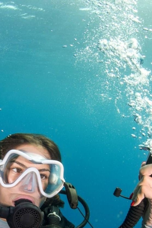 Chania: 2 Boat Dives for Certified Divers - Price in context: is $153 really fair?
