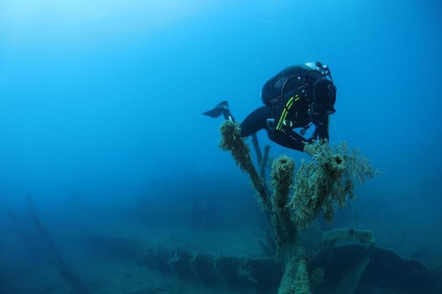 Chania: 2 Boat Dives for Certified Divers - Timing and transport tips that prevent headaches