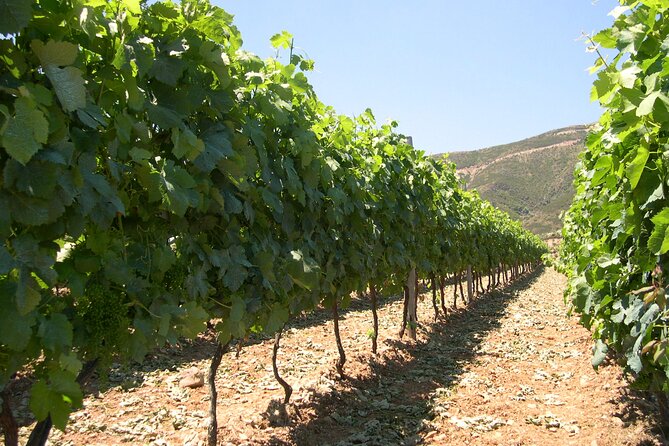 Chania 4x4 Sunset Safari Tour - Stop 3: Deres village meze dinner with a glass of wine