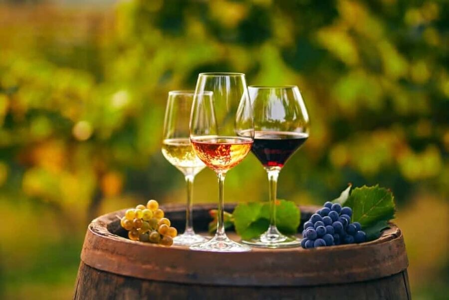 Chania Area: Food Tasting Tour with Winery Visit & Swim Stop - Vouves Ancient Olive Tree: Why This Stop Is About More Than Photos
