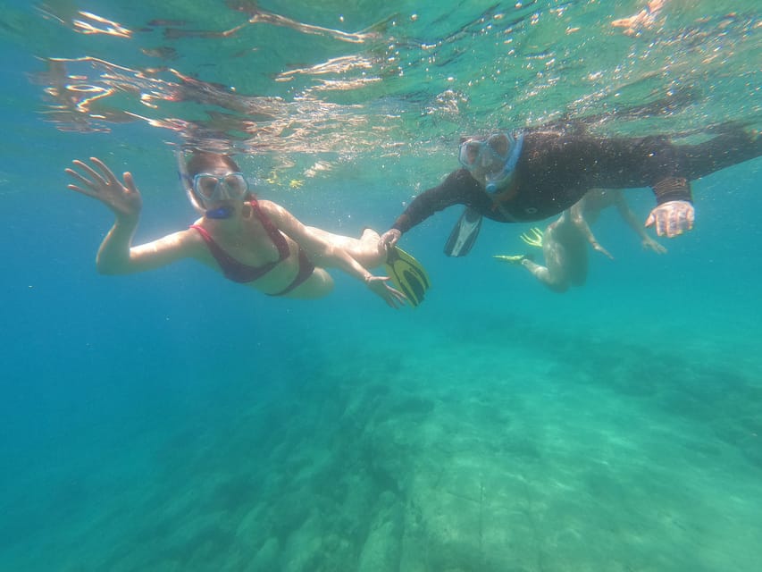 Chania: Boat Trip with Guided Snorkeling Tour - Marine life and underwater sights you can realistically expect
