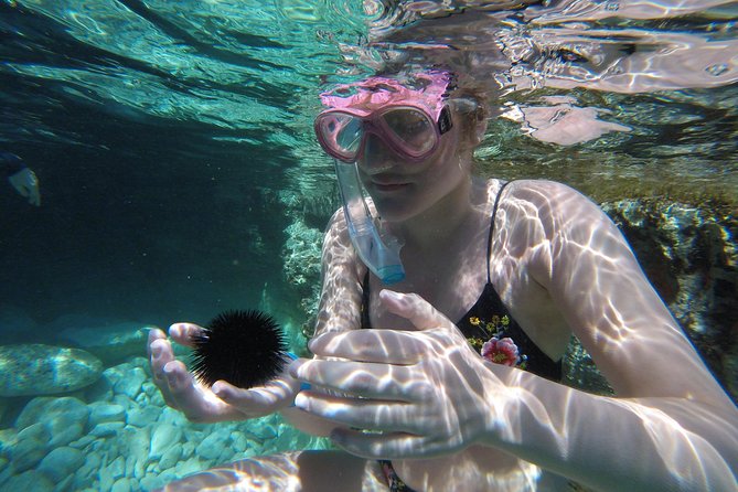 Chania: Boat Trip with Guided Snorkeling Tour & SUP - Staff you’ll actually remember: friendly, supportive, and calm in the water