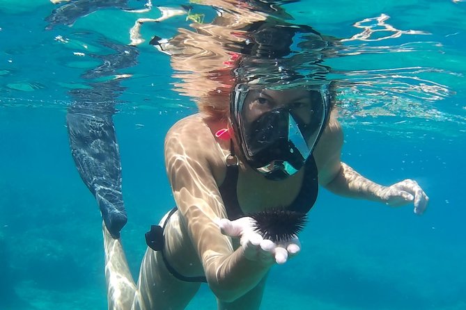 Chania: Boat Trip with Guided Snorkeling Tour & SUP - How to judge the price: what $119.73 buys you here