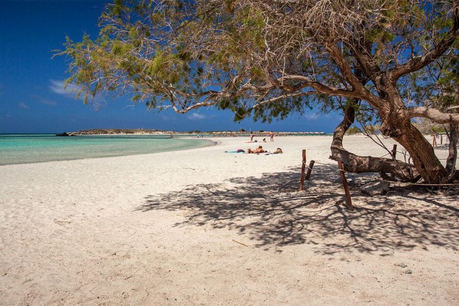 Chania: Elafonisi and Milia Mountain with Loungers and Lunch - Price: is $194 per person good value here?