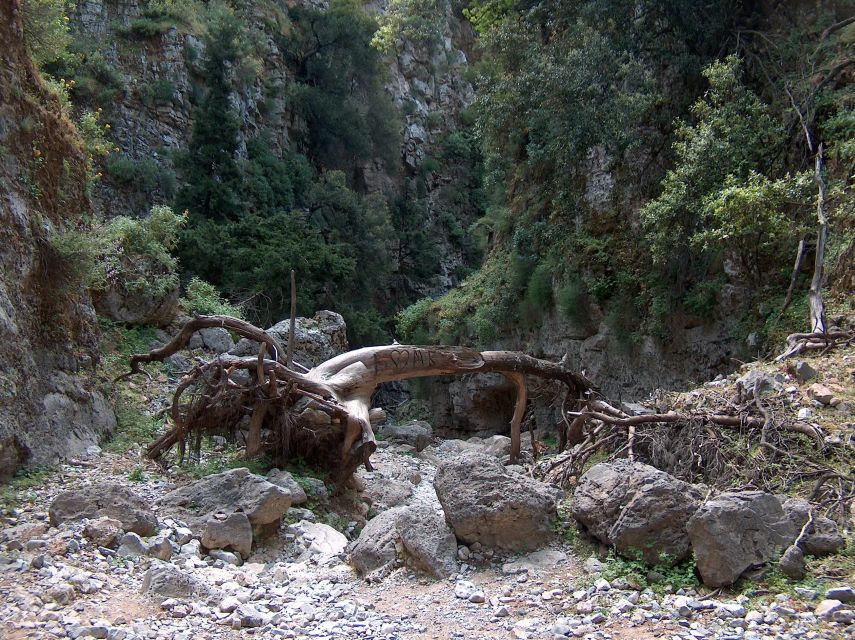 Chania: Imbros Gorge and Libyan Sea Day Tour - The Libyan Sea swim stop: warm water, hot sand, and timing that matters