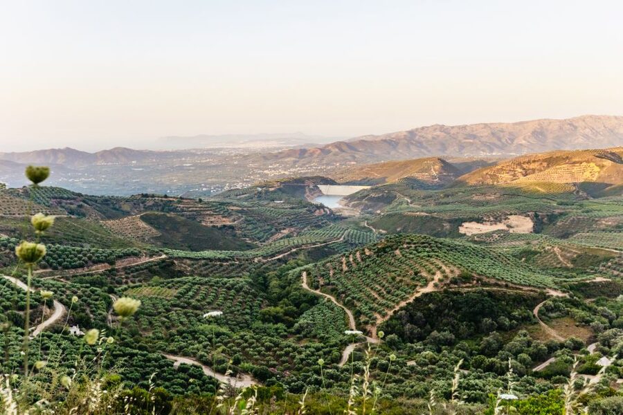 Chania: Off-Road Tour at Sunset - Should you book this Chania sunset safari?