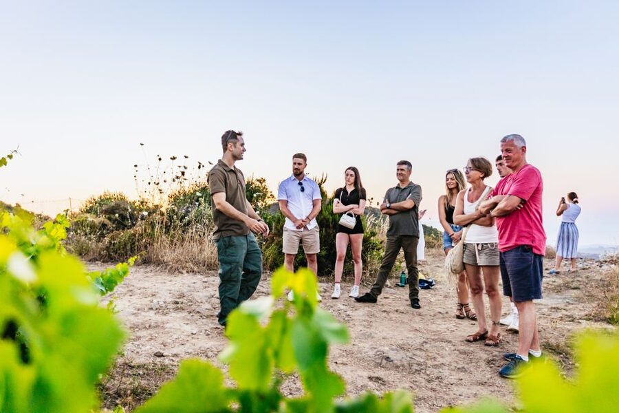 Chania: Off-Road Tour at Sunset - Guides, language, and small-group dynamics (what to expect)