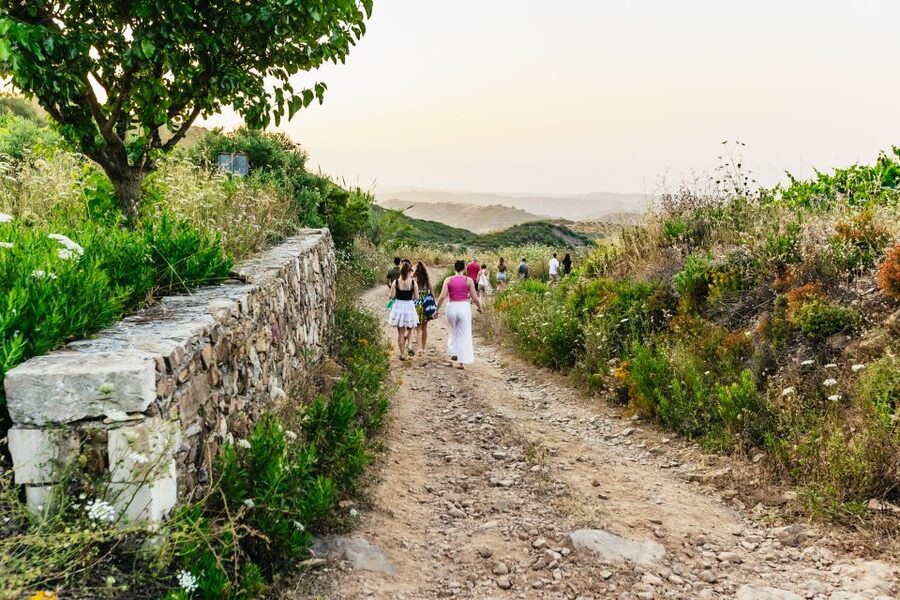 Chania: Off-Road Tour at Sunset - Price and logistics: is $93 worth it for 4.5 hours?