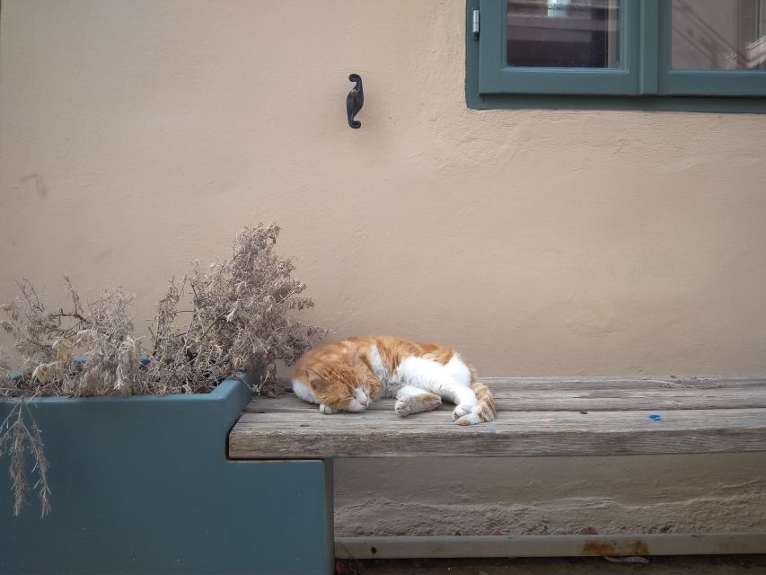 Chania Old Town: Artisans & Sightseeing Walking Tour - Modern Artist Ateliers and the Value of Seeing Old and New Together