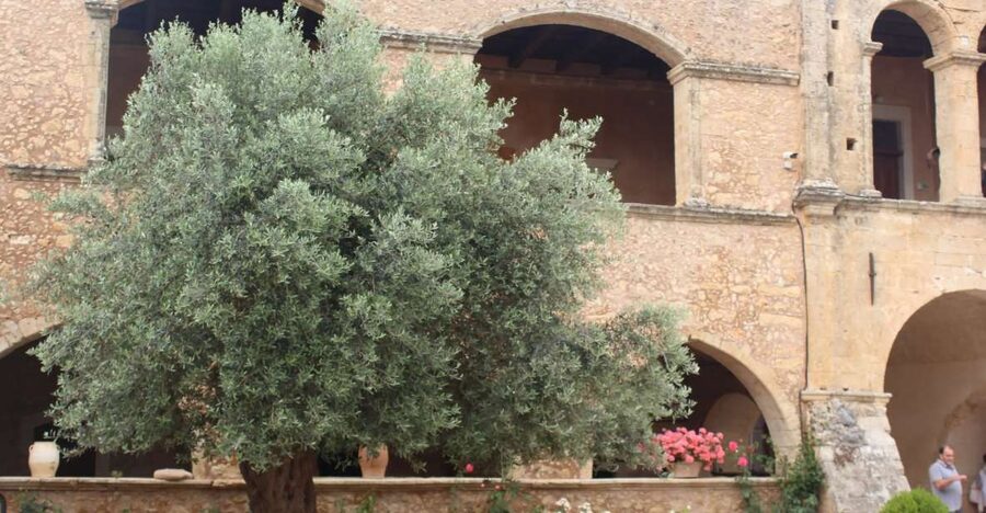 Chania Private Olive Oil Tour: Oil Tasting & Villages Tour - Key Highlights You’ll Actually Care About