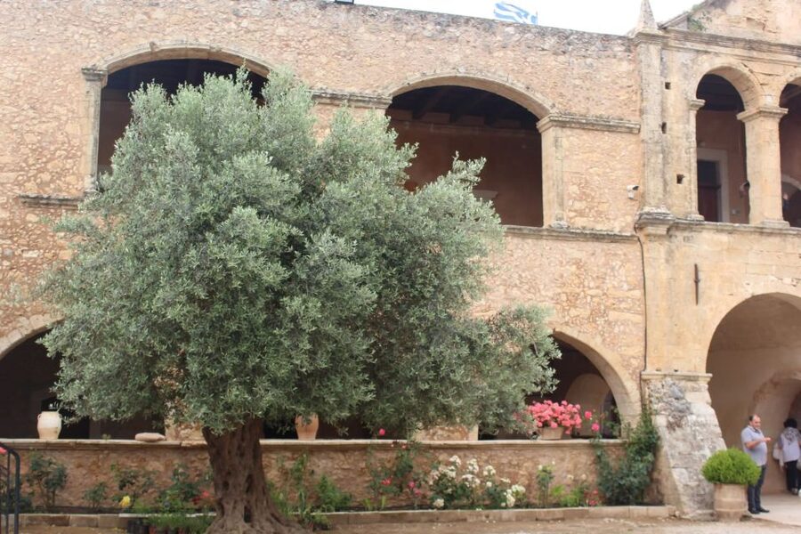 Chania Private Olive Oil Tour: Oil Tasting & Villages Tour - Why This Olive Oil Day Trip Beats a Standard Sightseeing Route