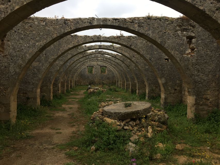 Chania Private Olive Oil Tour: Oil Tasting & Villages Tour - The Bio Olive Oil Factory Visit, and How You Learn to Read Extra Virgin