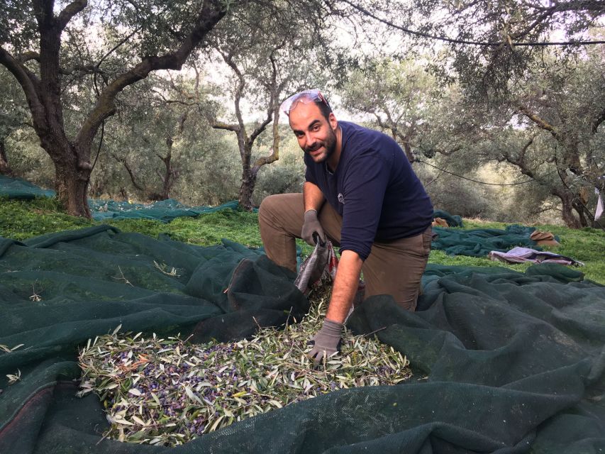 Chania Private Olive Oil Tour: Oil Tasting & Villages Tour - Private Olive Grove Time With a Farmer, Not a Script