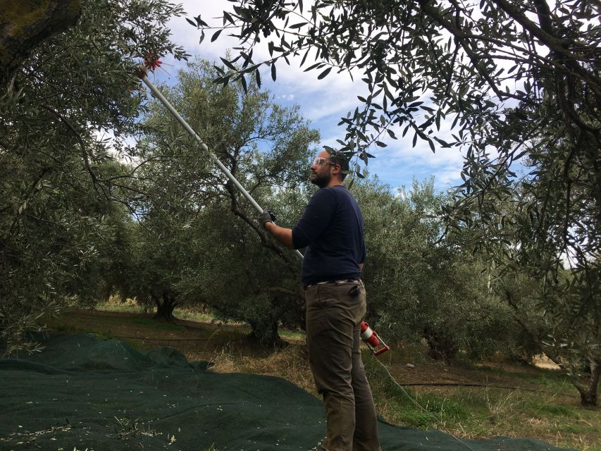 Chania Private Olive Oil Tour: Oil Tasting & Villages Tour - Photo Stop Views and the Art of Standing Still for a Minute