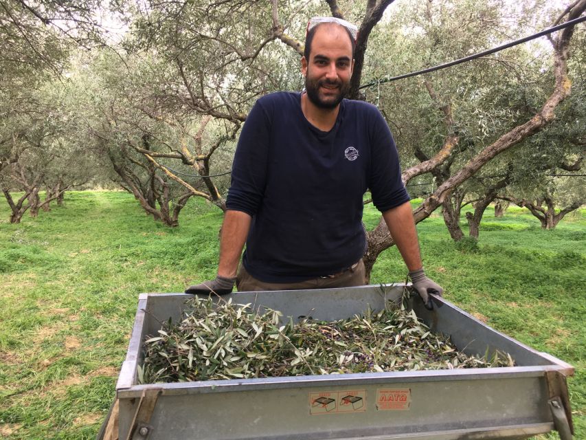 Chania Private Olive Oil Tour: Oil Tasting & Villages Tour - The Possible 3000-Year-Old Olive Tree: Why This Stop Hits Hard