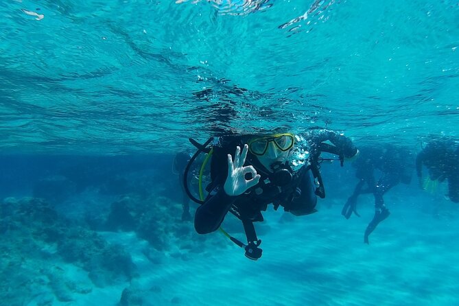 Chania: Scuba Diving for Beginners - Why Chania makes sense for a beginner scuba session