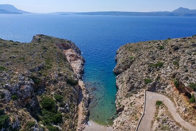 Chania: Scuba Diving for Beginners - Marine life highlights you might see off Chania
