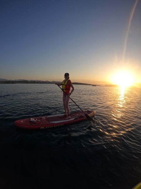 Chania: Stand-up Paddleboard Coastal Sunset Experience - Sea life moments and how the guide handles nature spotting