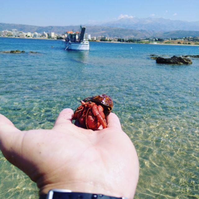 Chania Town: Glass-Bottom Boat Cruise to Thodorou & Lazareta - Stop 1: Thodorou (Goat Island), Kri Kri goats and a WWII plane wreck