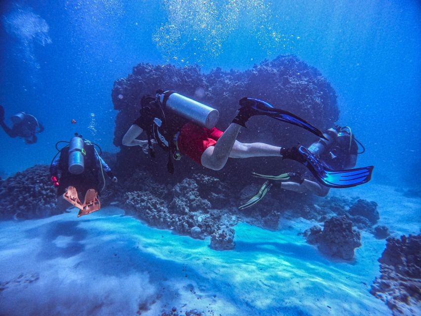 Chania:Try Scuba Diving 2shore dives(Receive Certification) - Key highlights worth knowing before you go