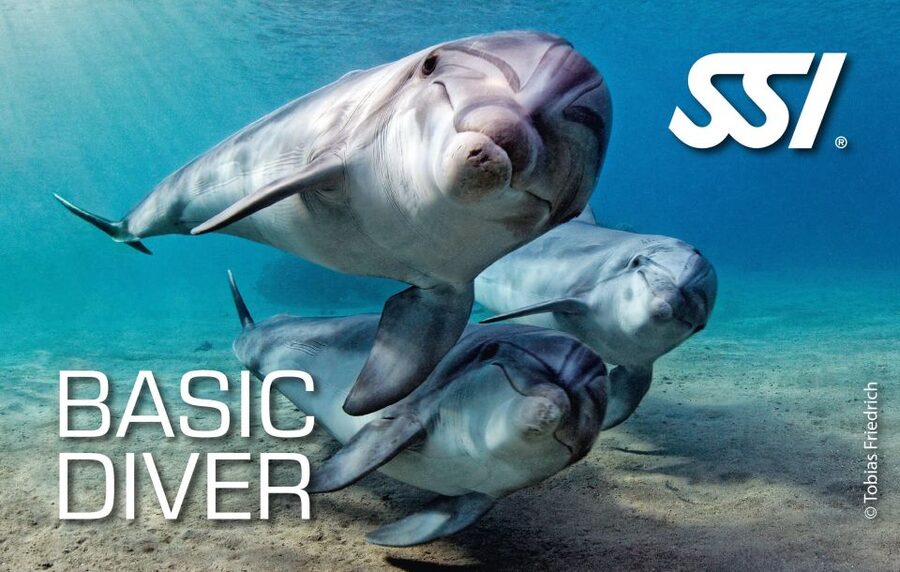 Chania:Try Scuba Diving 2shore dives(Receive Certification) - Certification you actually walk away with (and an Open Water option)
