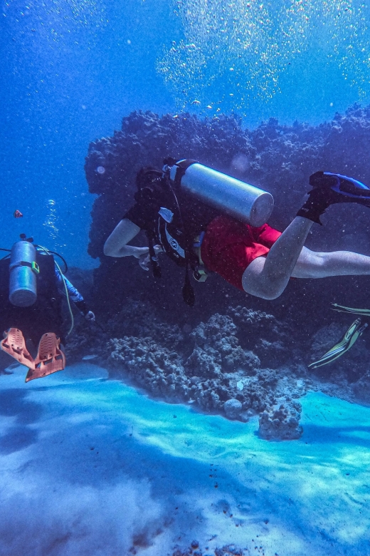 Chania:Try Scuba Diving 2shore dives(Receive Certification) - Price and value: what your $200 buys you in real terms