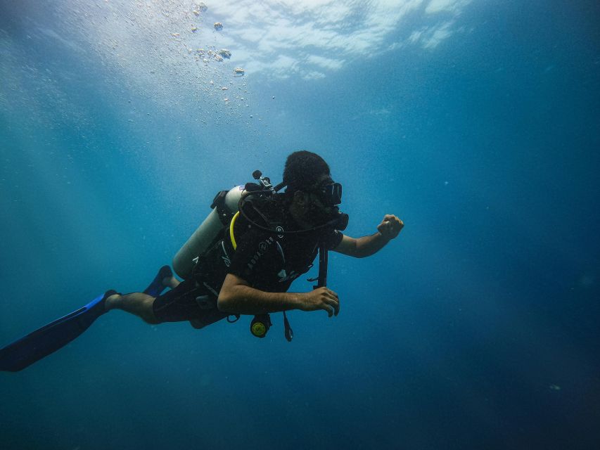 Chania:Try Scuba Diving 2shore dives(Receive Certification) - Transport timing and what the schedule feels like
