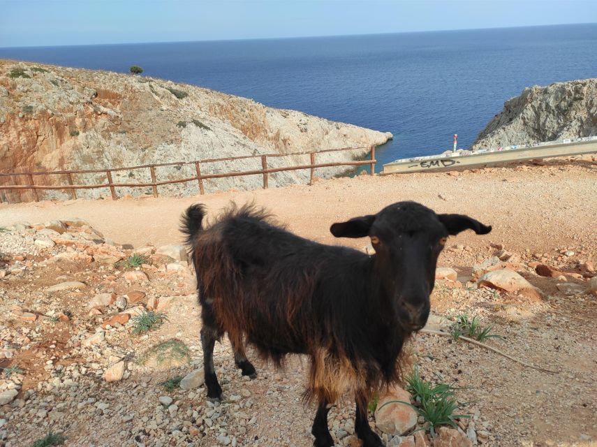 Chania Villages Private Tour: Explore the Authentic Crete! - White Mountains Views: The Desert-Like Shift You Will Notice