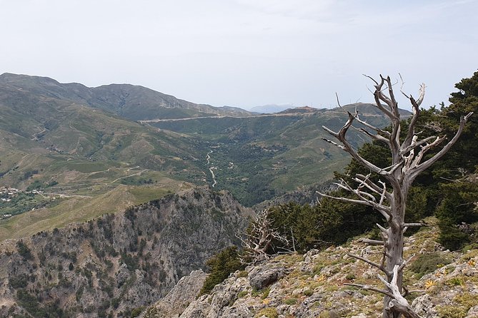 Cretan Safari – 4x4 Adventure to Preveli Beach with Lunch - Pickup at 9:00, what the ride is like, and how long stops really feel
