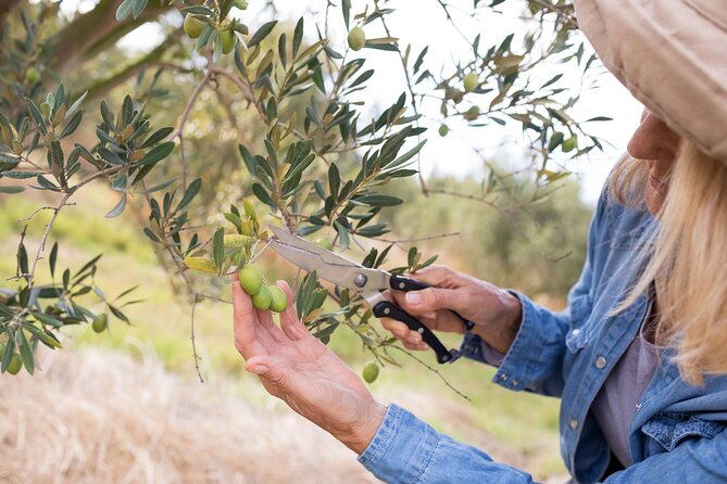 Cretan Wines & Olive oil tour - The treasures of Crete - Thrapsano pottery lab (optional): try making ceramics in a village linked to very old tradition