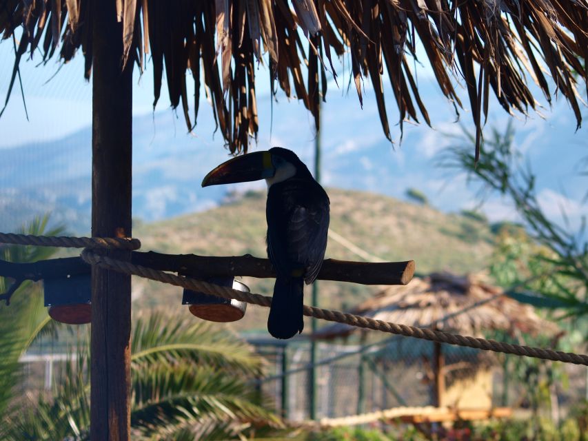 Crete: Agios Nikolaos, Kritsa and Amazonas Park Day Trip - Agios Nikolaos and Lake Voulismeni: Mirabello Bay Views Without the Stress