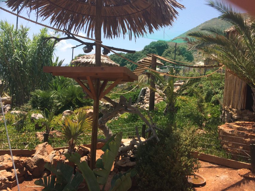 Crete: Agios Nikolaos, Kritsa and Amazonas Park Day Trip - Amazonas Park: Parrots, Monkeys, and Choosing the Right Kind of Visit