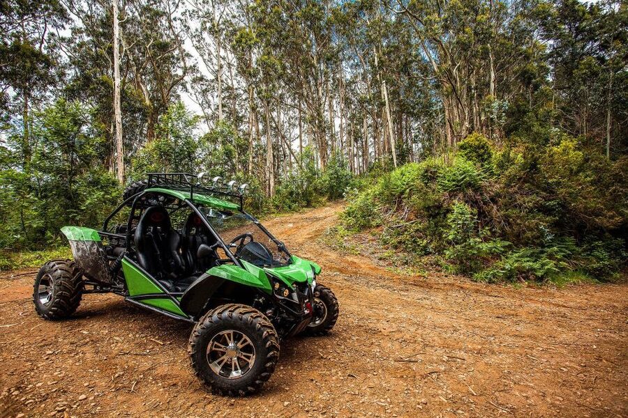 Crete buggy safari - Neapoli and Vasilakis Estate: olive oil tour at an award-winning press