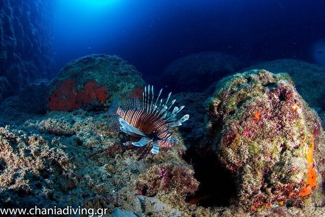 Crete-Chania: Snorkeling & Scuba Dive for Beginners by Boat - Before you enter the water: training, gear, and the confidence factor