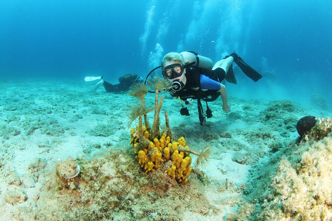 Crete-Chania: Snorkeling & Scuba Dive for Beginners by Boat - Price and what you actually get for $181.02