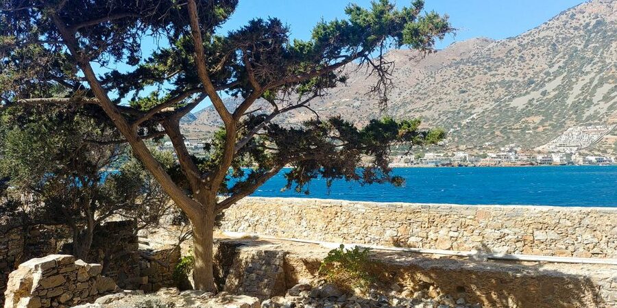 Crete: Day Trip to Agios Nikolaos and Spinalonga Island - Spinalonga Island: Fort Walks, Hard History, and the Reality of the Site