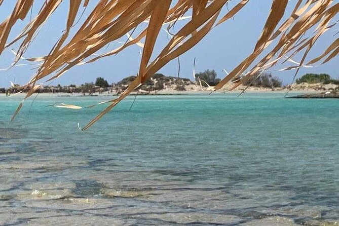 Crete: Elafonisi – 4 hours in the beach - Key highlights you will care about