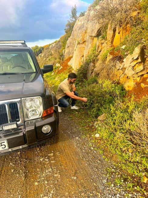 Crete: Explore Lassithi Plateau, Myths & Cretan Cuisine - Climbing toward about 1,100 meters and spotting mountain wildlife