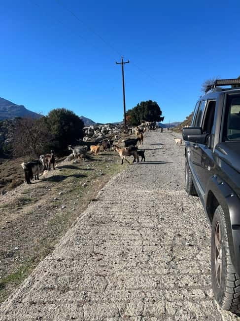 Crete: Explore Lassithi Plateau, Myths & Cretan Cuisine - Diktaion Andron, Cave of Zeus: what you do, what’s extra