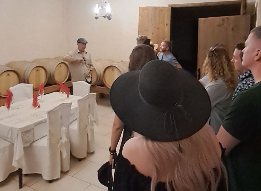 Crete: Full-Day Cretan Wines, Olive Oil, Raki and Food Tour - How to handle the day’s drinks without ruining your enjoyment