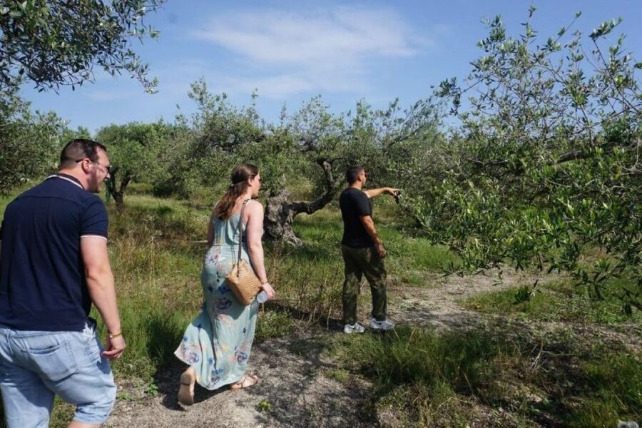 Crete: Full-Day Cretan Wines, Olive Oil, Raki and Food Tour - Olive grove and olive mill tasting, where flavor starts